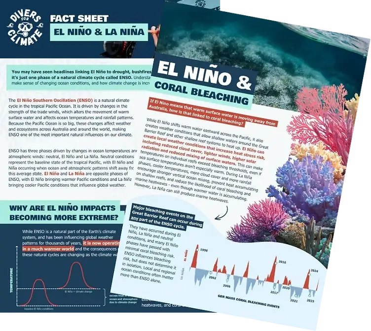 Divers for Climate fact sheets: El Niño & La Niña and El Niño & coral bleaching