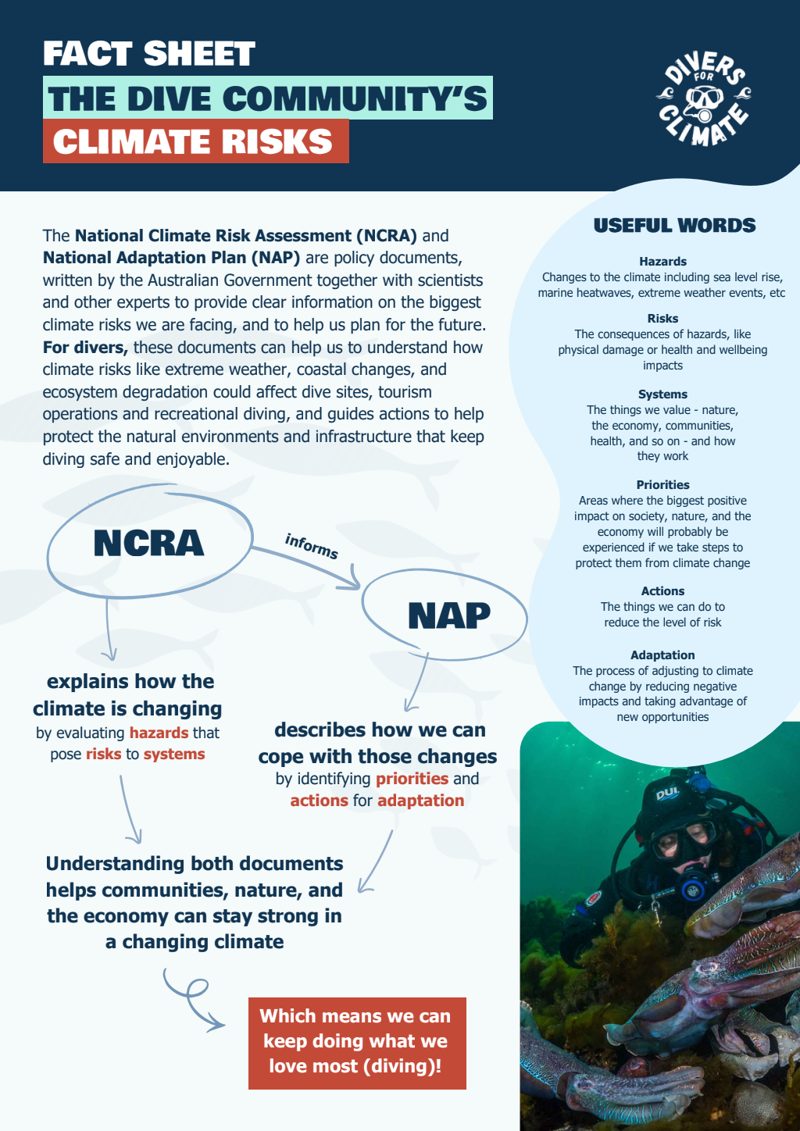 Cover of Fact sheet: Climate risk