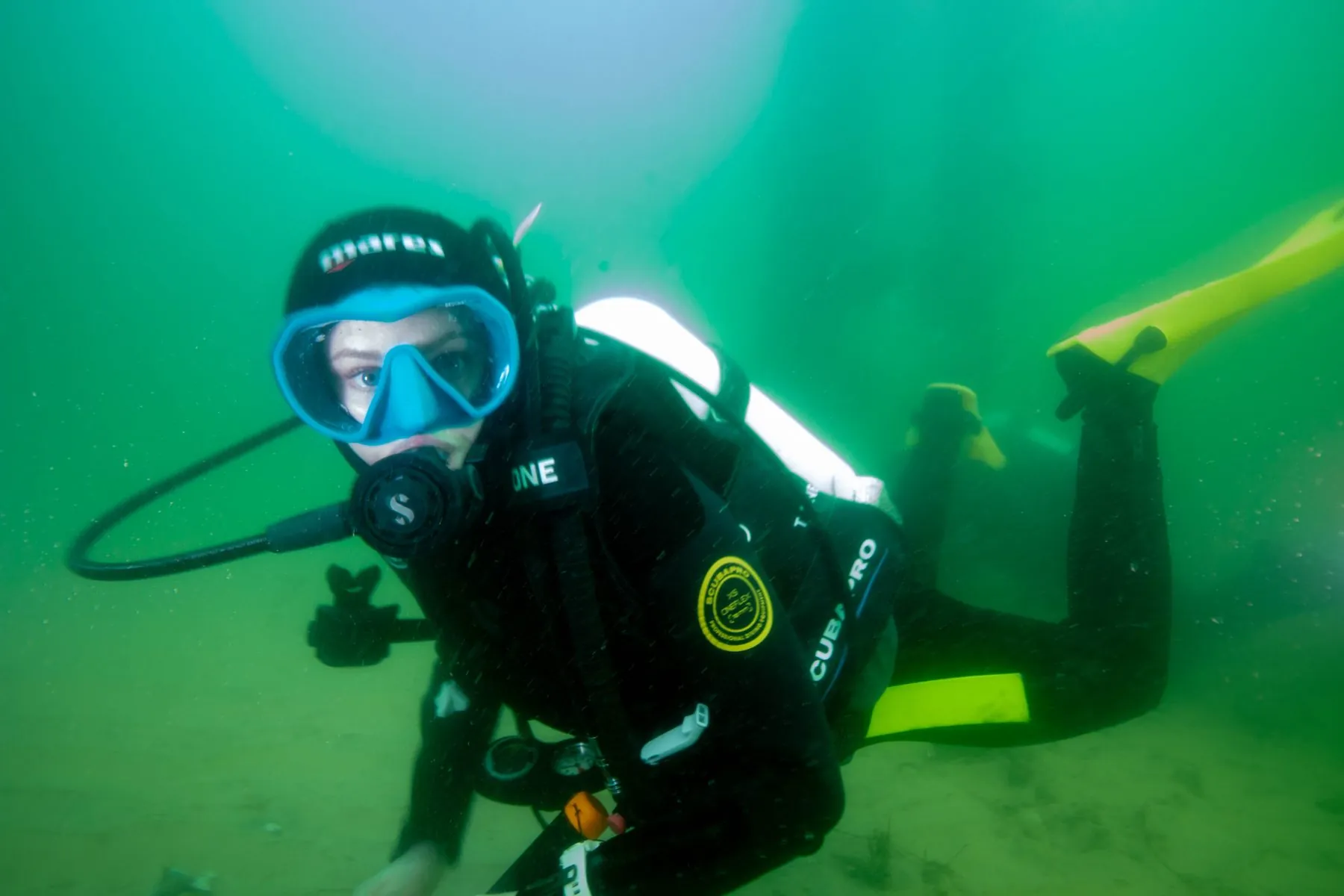 A diver underwater in green, cloudy water off South Australia