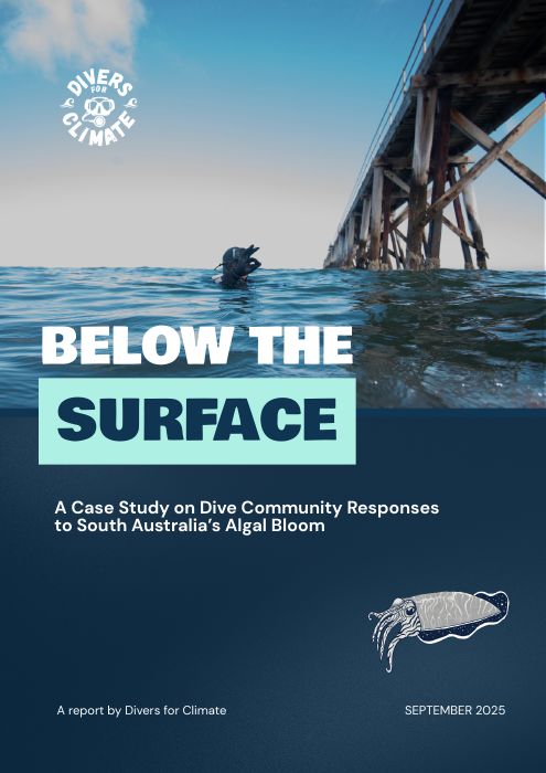 Cover of Below the Surface