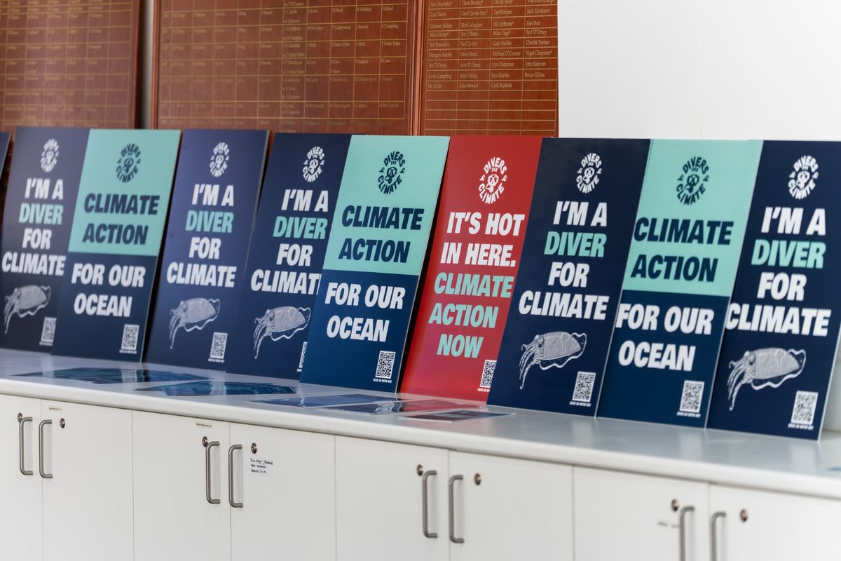Divers for Climate campaign signs lined up ready for an event, including I'm a diver for climate and It's hot in here. Climate action now