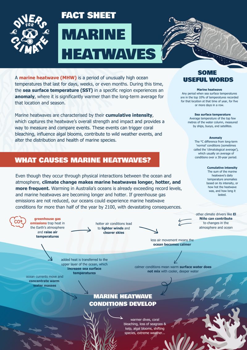 Cover of Fact sheet: Marine heatwaves