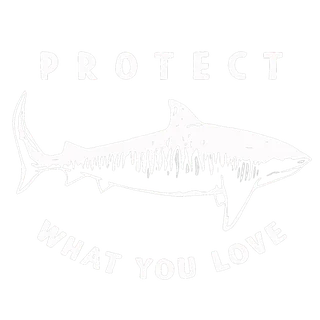 Endorsing dive business 4