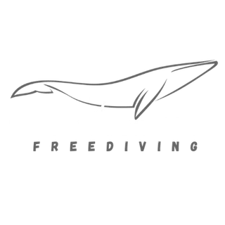 Endorsing dive business 5