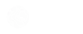 Endorsing dive business 7