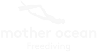 Endorsing dive business 8