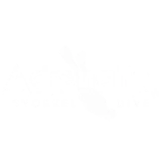 Endorsing dive business 10