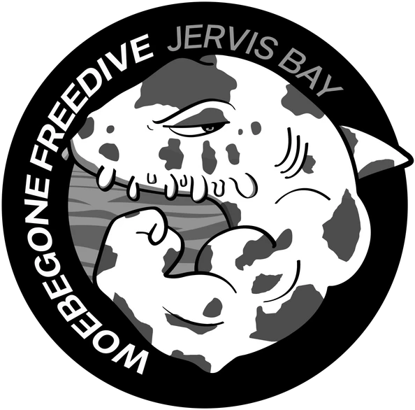 Endorsing dive business 27