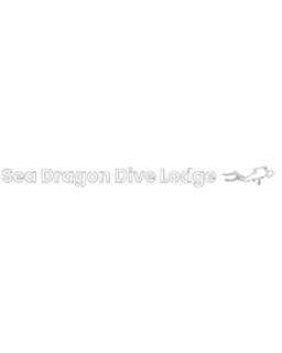 Endorsing dive business 34